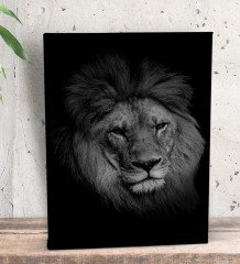 BK Gift Aslan Tasarımlı Dekoratif Mini Kanvas Tablo 15x20cm-2