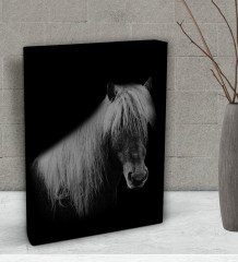 BK Gift At Tasarımlı Dekoratif Mini Kanvas Tablo 15x20cm-1