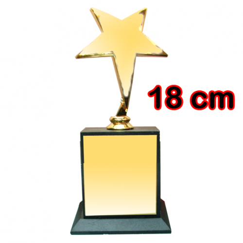 Sublimasyon Yıldız Figürlü Ödül Kupası 18 cm