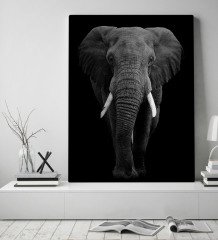 BK Home Fil Tasarımlı Kanvas Tablo 50x70cm-1