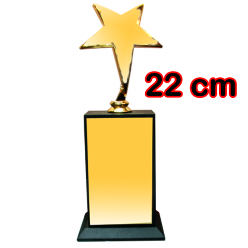 Sublimasyon Yıldız Figürlü Ödül Kupası 22 cm