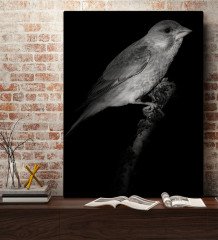 BK Home Kanarya Tasarımlı Kanvas Tablo 70x100cm-1