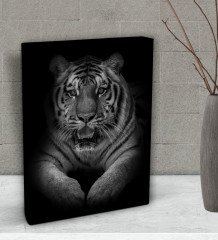 BK Gift Kaplan Tasarımlı Dekoratif Mini Kanvas Tablo 15x20cm-2