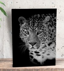 BK Gift Leopar Tasarımlı Dekoratif Mini Kanvas Tablo 15x20cm-1
