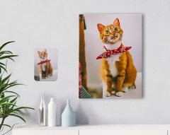 Kişiye Özel Tam Boy Kedi Karikatürlü Kanvas Tablo 30x50cm-1