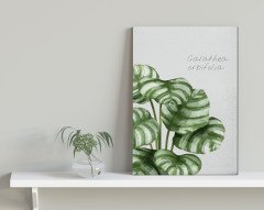 BK Home Green Plant Tasarımlı Kanvas Tablo 30x50cm-1