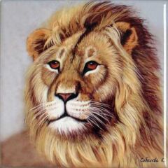 Sublimasyon Seramik Fayans 10x10 cm