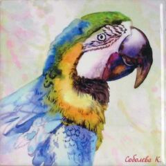 Sublimasyon Seramik Fayans 20x20 cm