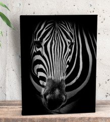 BK Gift Zebra Tasarımlı Dekoratif Mini Kanvas Tablo 15x20cm-1