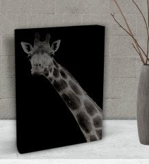 BK Gift Zürafa Tasarımlı Dekoratif Mini Kanvas Tablo 15x20cm-1