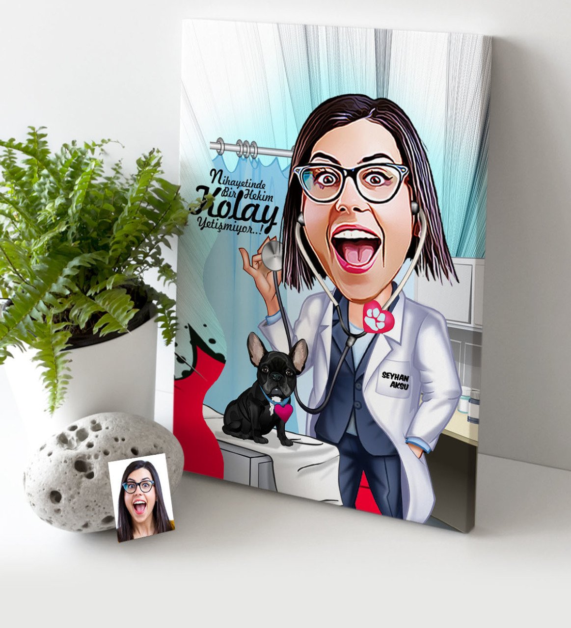 Kişiye Özel Bayan Veteriner Hekim Karikatür Kanvas Tablo (30 x 50 cm.) 1