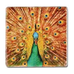 Sublimasyon Taş Magnet 5x5 cm