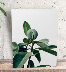BK Gift Green Plant Tasarımlı Dekoratif Mini Kanvas Tablo 15x20cm-1
