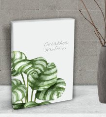 BK Gift Green Plant Tasarımlı Dekoratif Mini Kanvas Tablo 15x20cm-2