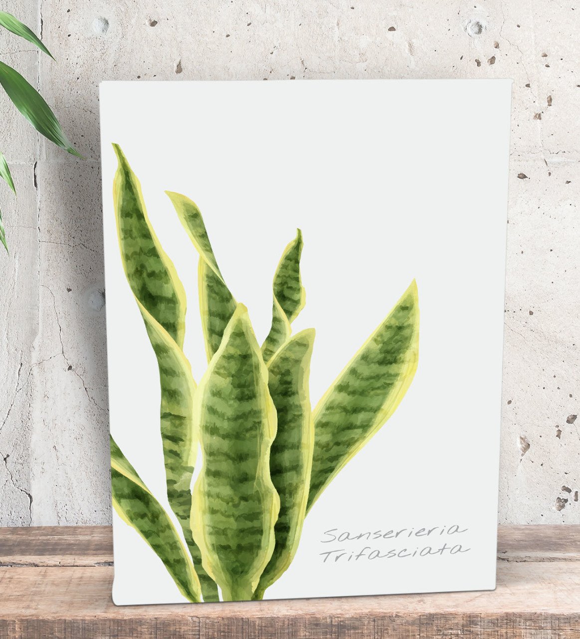 BK Gift Green Plant Tasarımlı Dekoratif Mini Kanvas Tablo 15x20cm-3