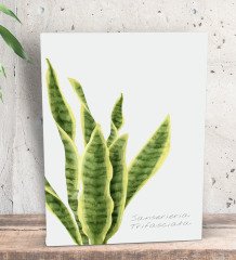 BK Gift Green Plant Tasarımlı Dekoratif Mini Kanvas Tablo 15x20cm-3