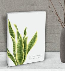 BK Gift Green Plant Tasarımlı Dekoratif Mini Kanvas Tablo 15x20cm-3